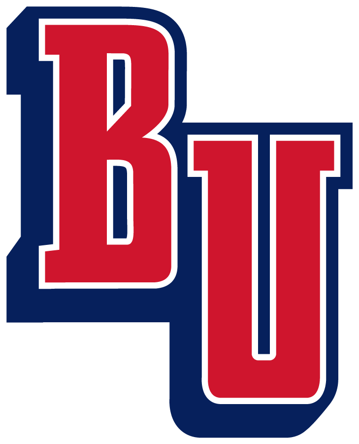 Belmont Bruins 2019-Pres Secondary Logo DIY iron on transfer (heat transfer)